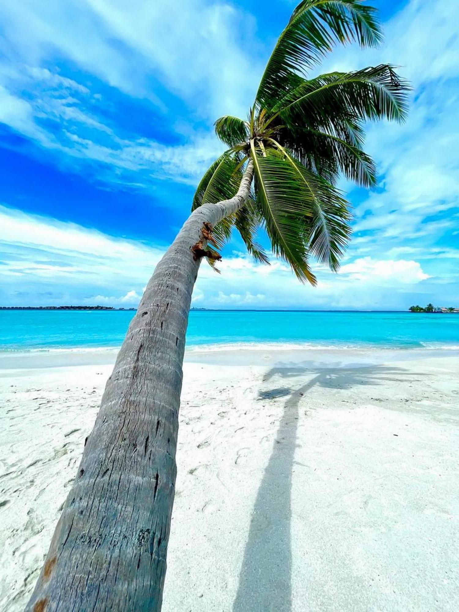 Wind Breeze Sunset View Inn Guraidhoo  Eksteriør bilde